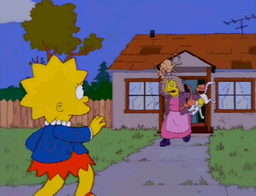 Crazy Cat Lady GIF