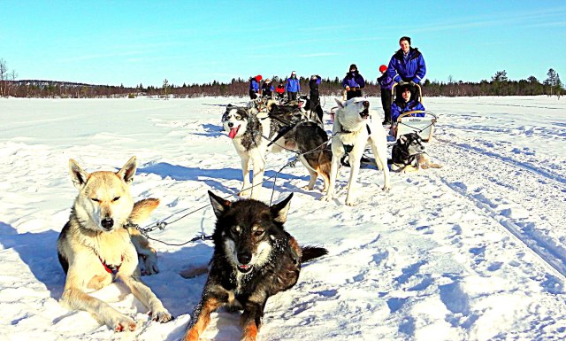 892192_10151566754644066_1580662757_o