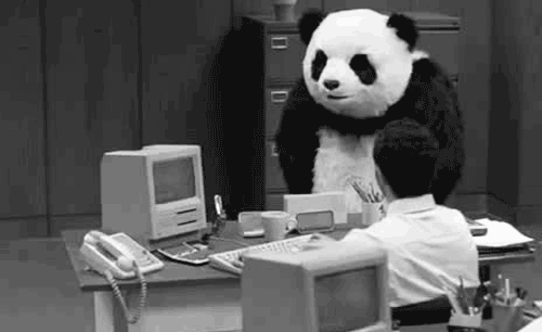 Panda GIF