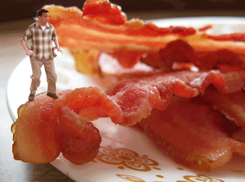 Bacon GIF