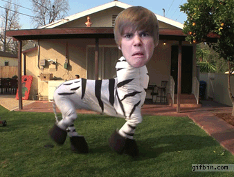 Bieber GIF
