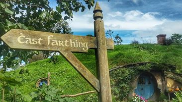 12717947_10154084043854066_8821916724417141270_n